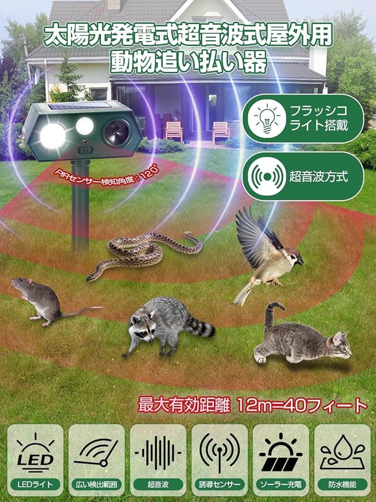 小動物の超音波診断アトラス 小動物の超音波診断アトラス 小動物の超音波診断アトラス